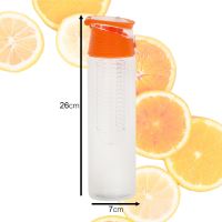 Láhev na vodu s ovocnou vložkou 800 ml pomeranč
