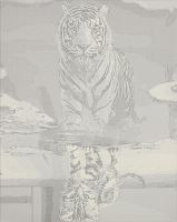Malba podle čísel 40x50cm kočka a tygr