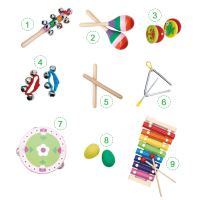Hudební sada 14 nástrojů + taška Ecotoys