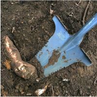 Root Slayer – zahradní lopata