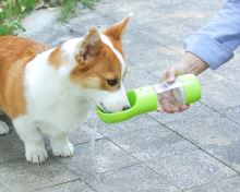 Přenosná láhev na vodu a krmivo pro psy zelená