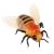 RC včelí dálkový ovladač + dálkové ovládání