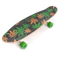 Skateboardový meteor aloha