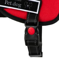Silný postroj pro psa S 60-75cm Senior Dog červený