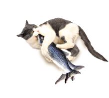 Flippity Fish - hračka pro kočky