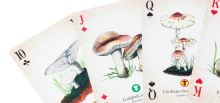 MUDUKO Classic 24 hracích karet