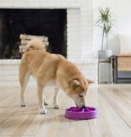 Zpomalovací miska na krmivo pro psa a kočku velká 21cm