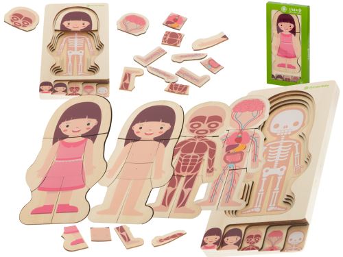 Dřevěná skládačka montessori dívčí stavby těla