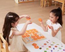 Viga Paměťová hra Hádej obrázky 10 Montessori karet Velká